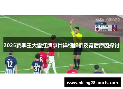 2025赛季王大雷红牌事件详细解析及背后原因探讨