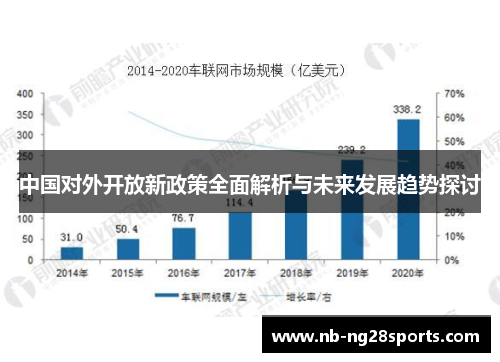 中国对外开放新政策全面解析与未来发展趋势探讨