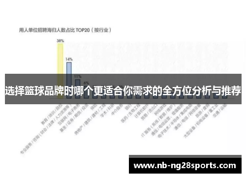 选择篮球品牌时哪个更适合你需求的全方位分析与推荐