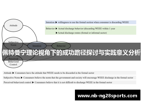 佩特曼宁理论视角下的成功路径探讨与实践意义分析