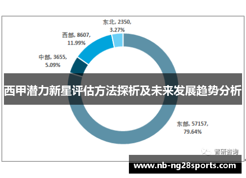 西甲潜力新星评估方法探析及未来发展趋势分析